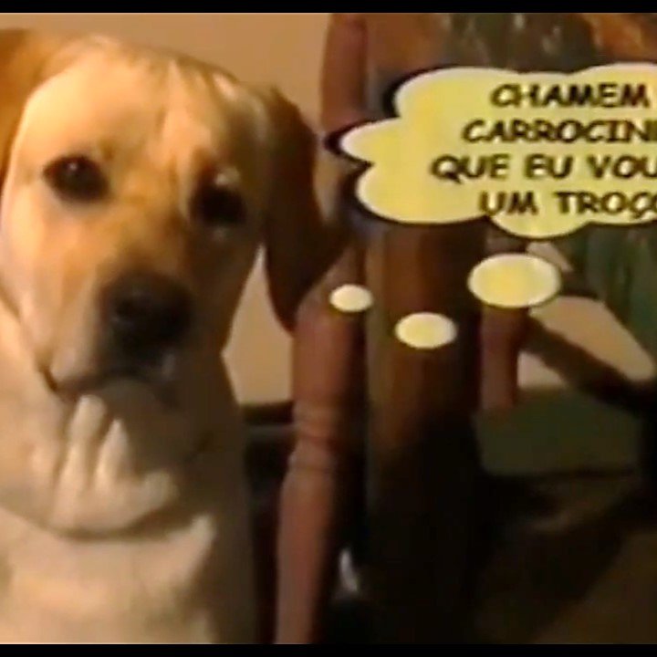 Cena 3